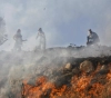 Settlers set fire to olive trees in Hawara