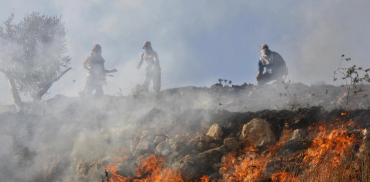 Settlers set fire to olive trees in Hawara