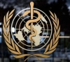 WHO warns that world will not regain &quot;in the foreseeable future&quot;