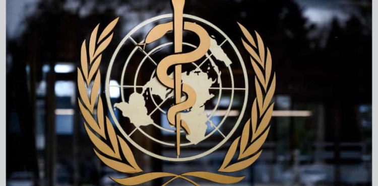 WHO warns that world will not regain &quot;in the foreseeable future&quot;