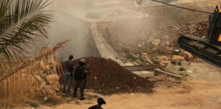 House demolitions and uprooting of trees in Salfit and Hebron