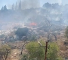 Settlers burn lands planted with olives and almonds in Hawara
