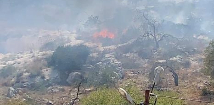 Settlers burn lands planted with olives and almonds in Hawara