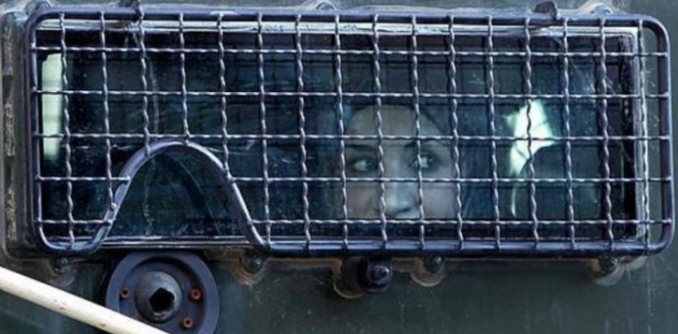 The occupation forces arrest a girl in Jenin