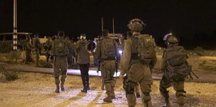 Occupation arrests 13 citizens from separate areas