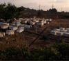 Qalqilya: Beehives have a share of tear gas