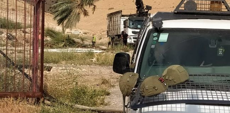 The occupation uproots 100 palm trees in Al-Jiftlik