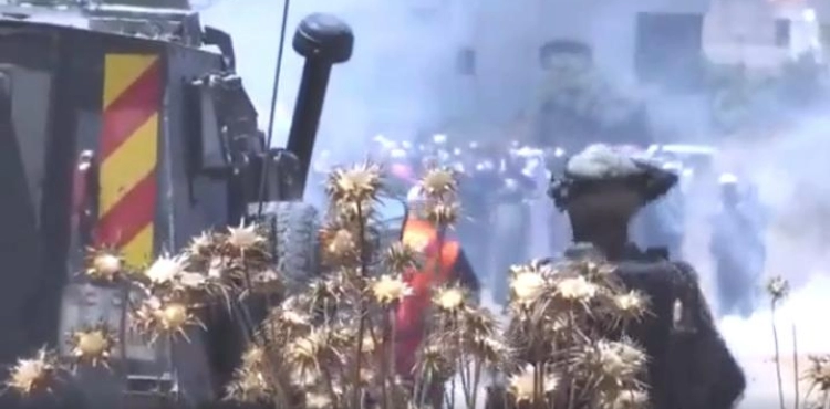 5 wounded by rubber bullets and tens of suffocation during the Turmus Aya clashes