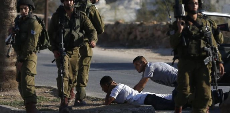 The occupation arrests 14 citizens from the West Bank