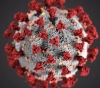 The latest development of the new Corona virus outbreak in the world