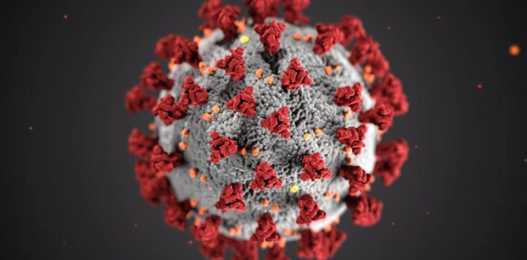 The latest development of the new Corona virus outbreak in the world