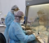 8 new cases of Corona virus were recorded in Gaza