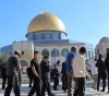 98 settlers break into Al-Aqsa and the occupation arrests employees of Islamic endowments and a third citizen