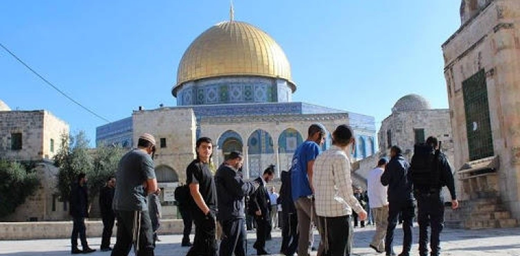 98 settlers break into Al-Aqsa and the occupation arrests employees of Islamic endowments and a third citizen