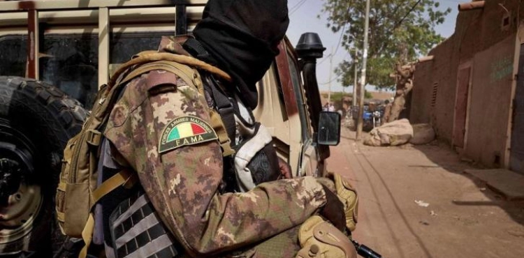 Washington suspends its military support to Mali due to the coup