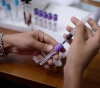 A new infection with Corona was recorded in Gaza, and the total rose to 5