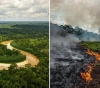 Fires &quot;poison the air&quot; in the Amazon