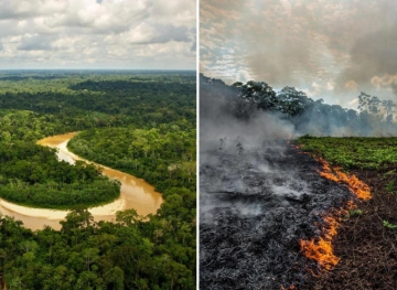 Fires &quot;poison the air&quot; in the Amazon