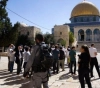 123 settlers and students storm Al-Aqsa