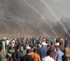 7 martyrs and scores injured on the Gaza Strip border