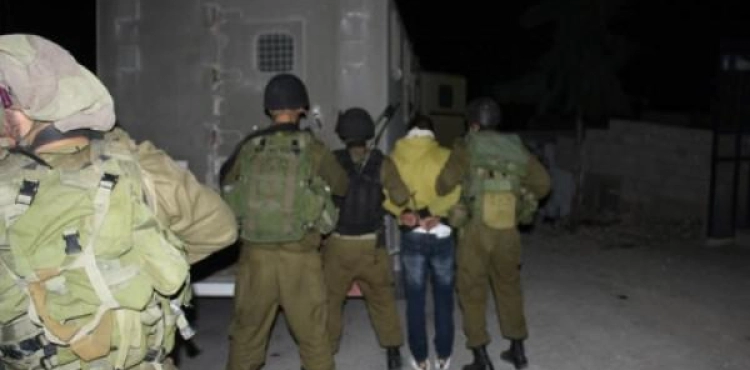 The occupation arrests 12 citizens in the West Bank