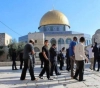 Dozens of settlers storm Al-Aqsa and calls to storm the two centers next Thursday