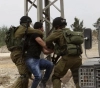 The occupation arrested 20 citizens at dawn Thursday