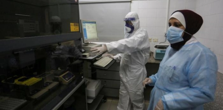 Gaza Health Ministry announces that it has received 8,000 test swabs