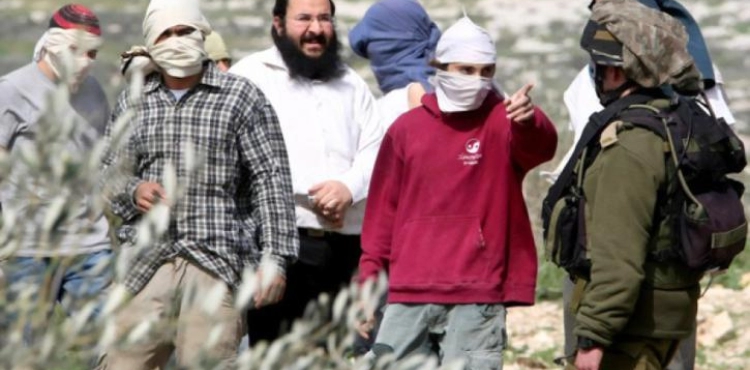 Settlers attack citizens south of Nablus