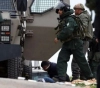 Israeli forces arrest 11 Palestinians in West Bank