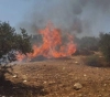 Settlers burn 50 olive trees west of Salfit