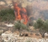 A settler sets fire to hundreds of olive trees in the village of Safa, west of Ramallah