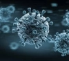 The latest developments in the spread of the new Corona virus in the world