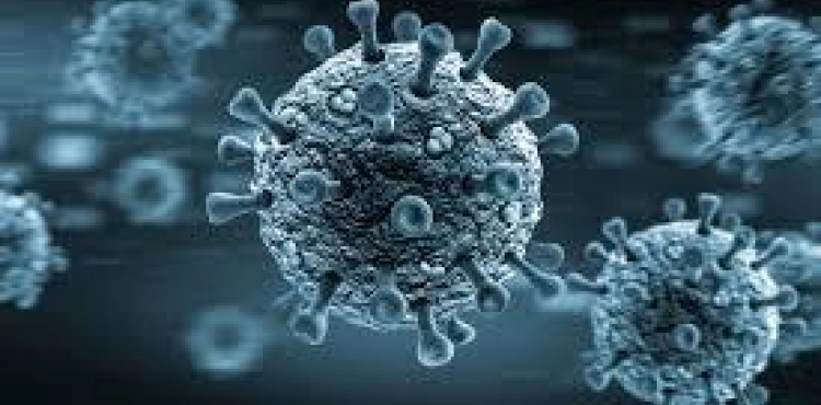 The latest developments in the spread of the new Corona virus in the world