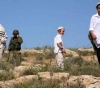 A citizen was injured in a settler attack in Ni&acute;lin, west of Ramallah