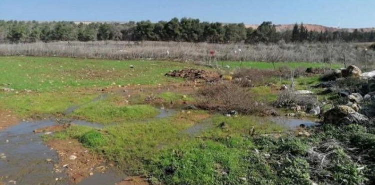 Settlers pump wastewater towards Palestinian lands, north of Nablus
