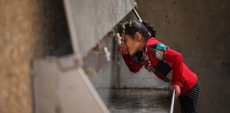 Water pollution in Gaza is a major cause of child mortality