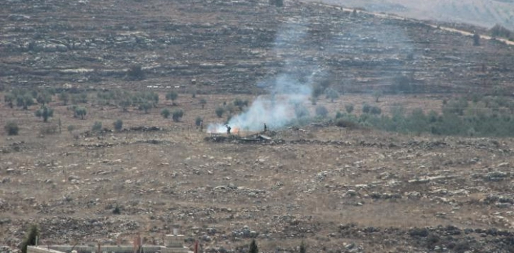 Settlers cut down old olive trees in Jalud