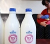 For the first time... British exchange  &quot;Milk moms&quot; via Facebook