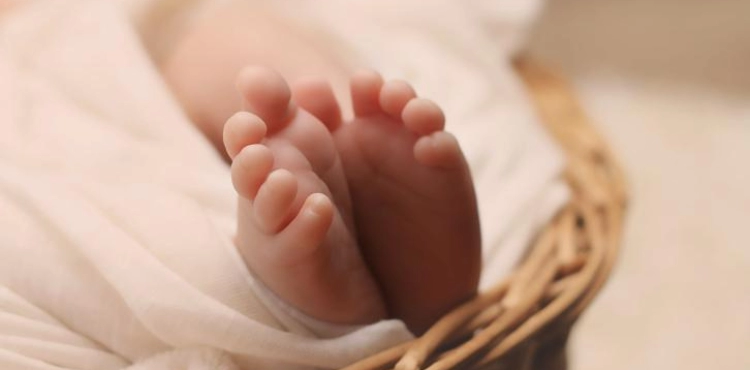 Last October, the Gaza Strip recorded 3560 births and 209 deaths