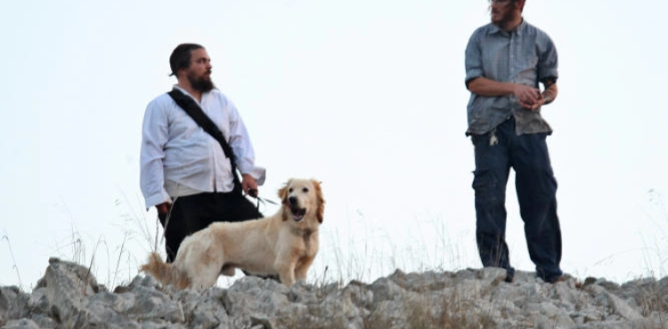 Settlers kidnap a boy east of Nablus