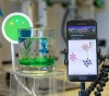 An infinitesimal robot that can remove hormonal contaminants from liquids