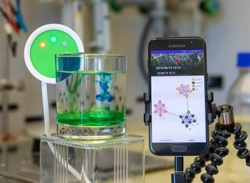 An infinitesimal robot that can remove hormonal contaminants from liquids