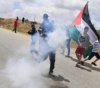 Dozens were injured in clashes with the occupation army in the Jordan Valley
