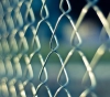 1,496 prisoners with sentences exceeding 10 years