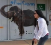 Elephant &quot;Kavan&quot; arrives safely in Cambodia to start a new life