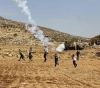 The occupation forces suppress an activity to cultivate Beit Dajan lands