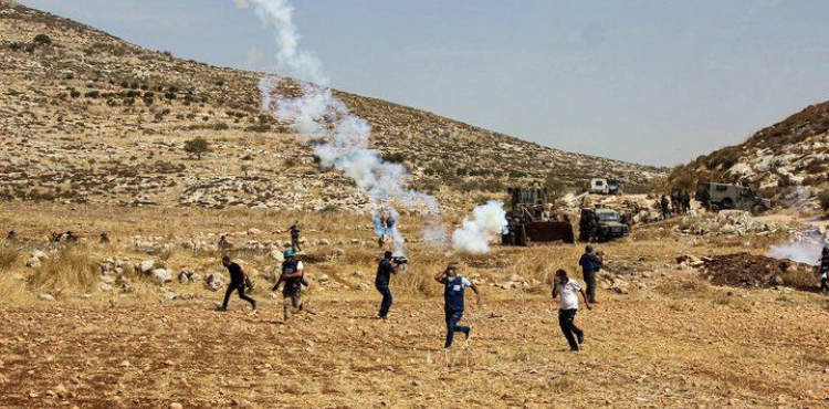 The occupation forces suppress an activity to cultivate Beit Dajan lands