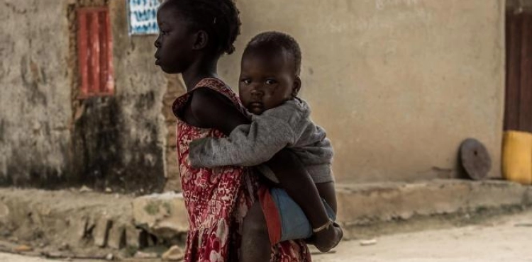 World Health Organization: 172 yellow fever deaths in Nigeria