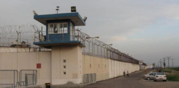 Center: 4 martyrs from the captive movement this year